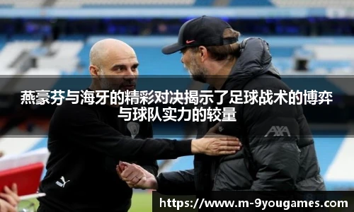 燕豪芬与海牙的精彩对决揭示了足球战术的博弈与球队实力的较量